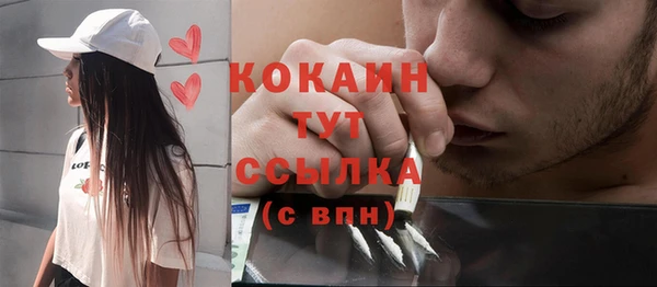 сатива Вязники